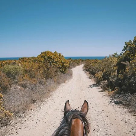 شقة Casamea - U Sognu