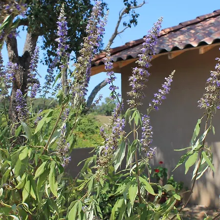 Lägenhet Casamea - U Sognu *