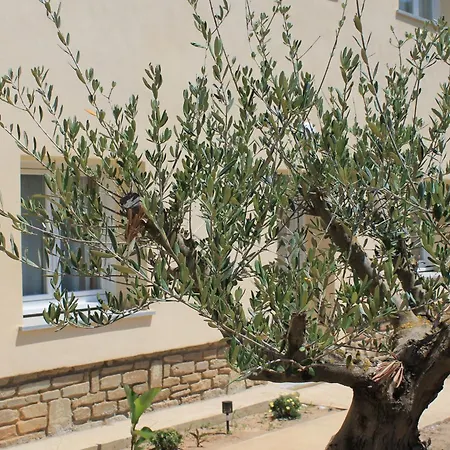 Casamea - U Sognu Appartement *