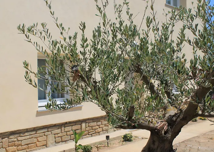 Casamea - U Sognu Apartmán *